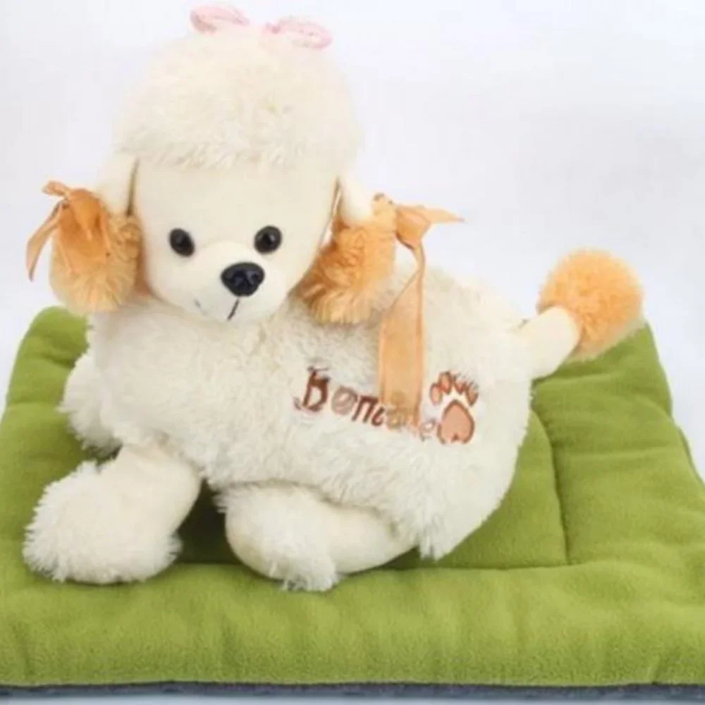 Pet Bed s